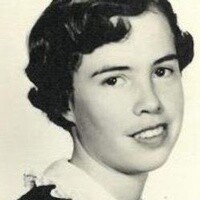 Jeanne Johnson Profile Photo