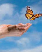 Butterfly Release May 13, 2023