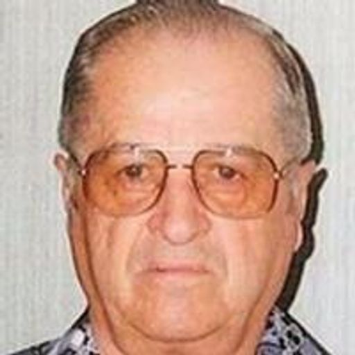 Wayne E. Henness...Age 87 Profile Photo