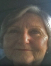 Linda Jo  Seitz Profile Photo