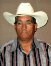 Javier Garibay Ochoa, Sr. Profile Photo