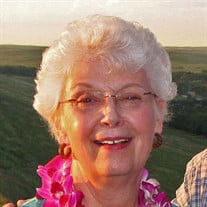Lynn Schumacher Profile Photo