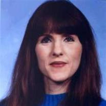 Donna Lynn Weill Profile Photo