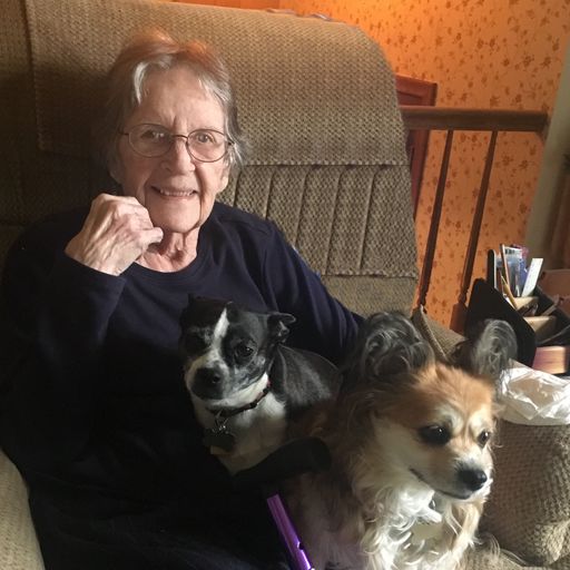 Virginia "Ginny" (Reed) Grawet Obituary 2017 Roeder Mortuary