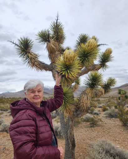 Jeanette Norma Jensen Profile Photo