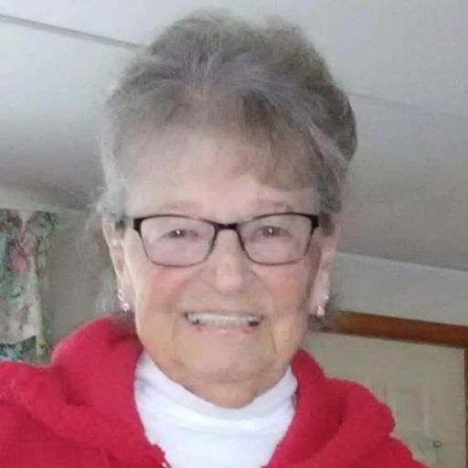 Joan A. (Newton) Songer Profile Photo