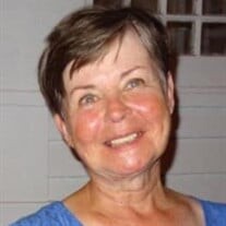 Maureen Fegley Whalen Profile Photo