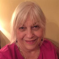Barbara Lee Mulcahy Profile Photo