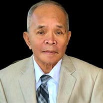 Nhu H. Nguyen Profile Photo