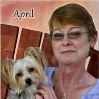 April  Lynn Wilson Profile Photo