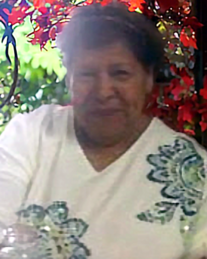 Guadalupe Carmen Tinoco
