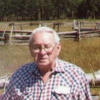 Vincent L. Strain