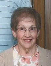 Shirley  A.  Contini Profile Photo