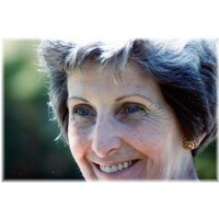 Sandra J. McInerney Profile Photo