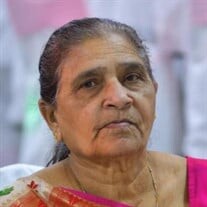 Manjulaben V. Patel Profile Photo