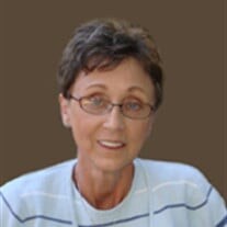 Nancy Krueger (Dodge) Profile Photo