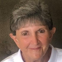 Darlene Meier Profile Photo