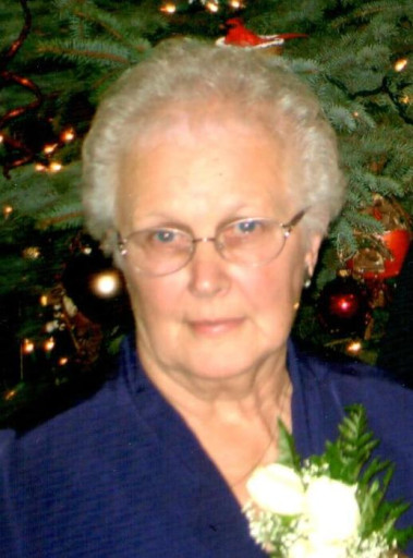Ann Kring Profile Photo