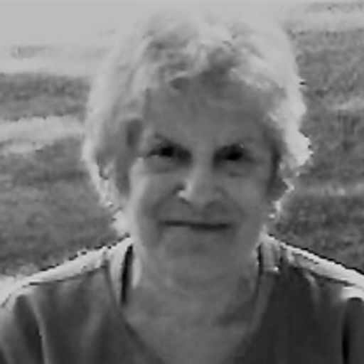 Joyce E. Havlick Profile Photo