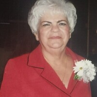 Carol L Adams Obituary - Visitation & Funeral Information