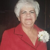 Carol Ann Adams Obituary - Visitation & Funeral Information