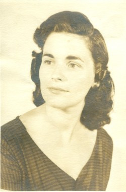 Shirley Ann (Hubbard)  Hastings