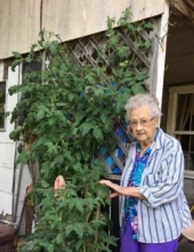 Lula Margaret Calvert Profile Photo