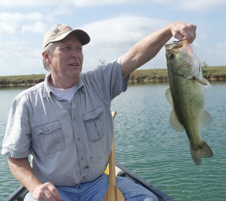 David Buck Stewart Profile Photo