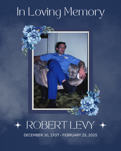 Robert Levy's obituary image