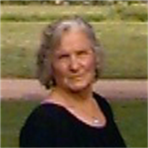 Evelyn Beatrice Salace Curtis Losack
