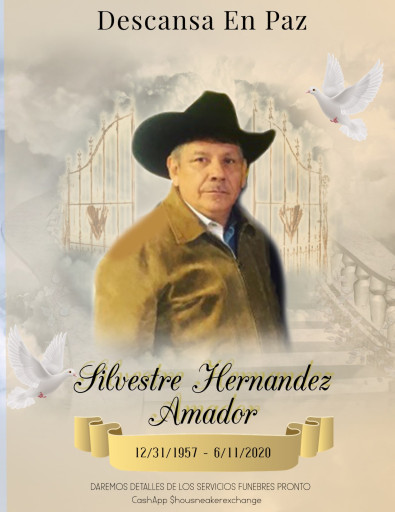 Silvestre Amador Hernandez Profile Photo