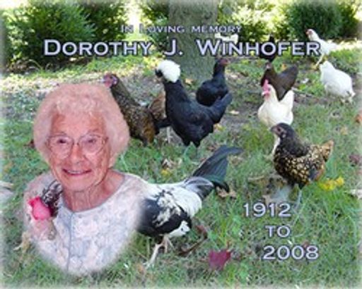 Dorothy J. Winhofer