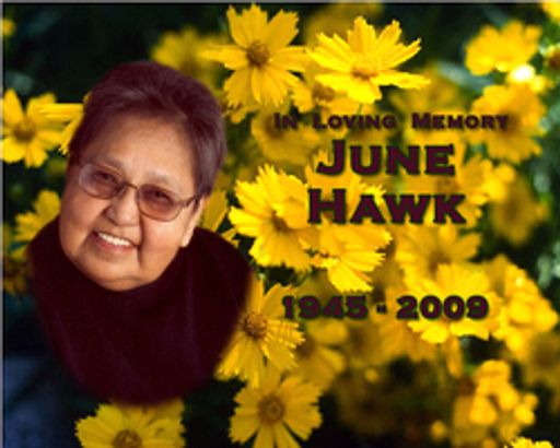 June Greybull Hawk