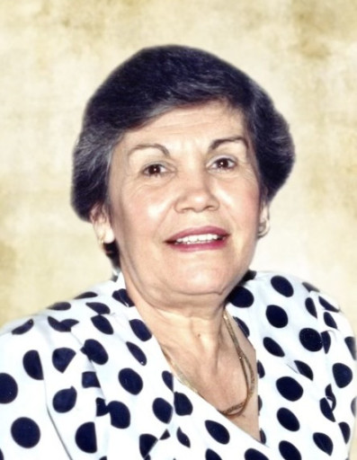 Famelisa Ibarra Sáenz Profile Photo