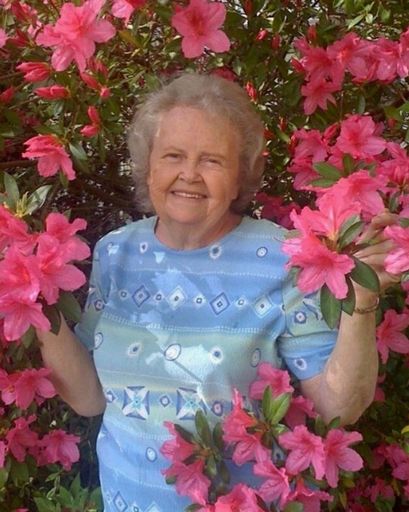 Shirlene King Profile Photo