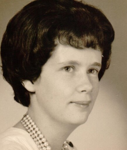 Susan Patricia (Lewis)  Adkins