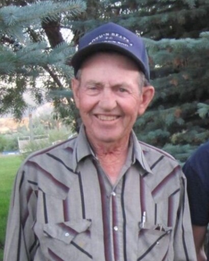 John Despain's obituary image