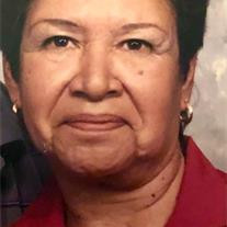 Dora Estrada Profile Photo