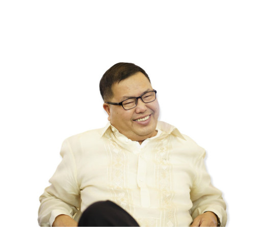 Napoleon Dela Cruz Mendoza, Jr.