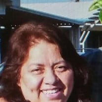 Cristella Perez Profile Photo