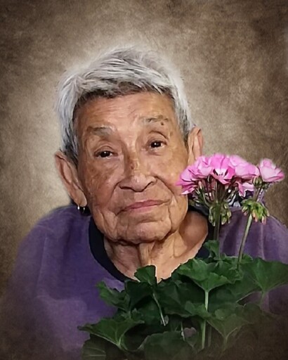 Guadalupe M. Castro's obituary image