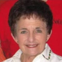 Dianne L. Brake