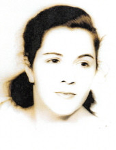 Vera Kern Voystock Profile Photo