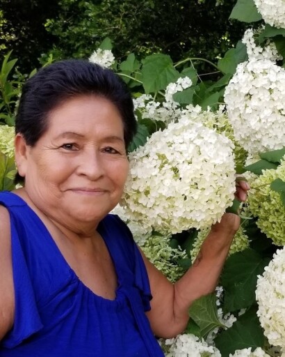 Eddalia Baltazar Vargas's obituary image