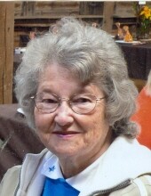 Nancy J. (Snyder)  Runkle