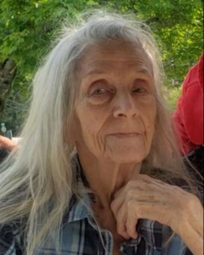 Deloris B. Peterson's obituary image