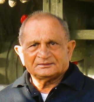Ramanbhai R Patel