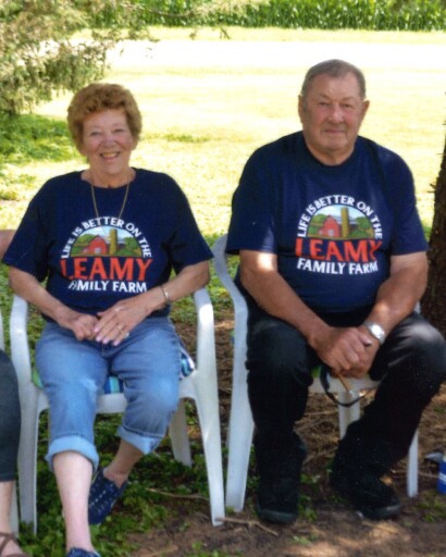 David and Shirley Leamy Profile Photo