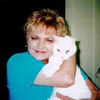 Marilyn Kay Cummins Profile Photo