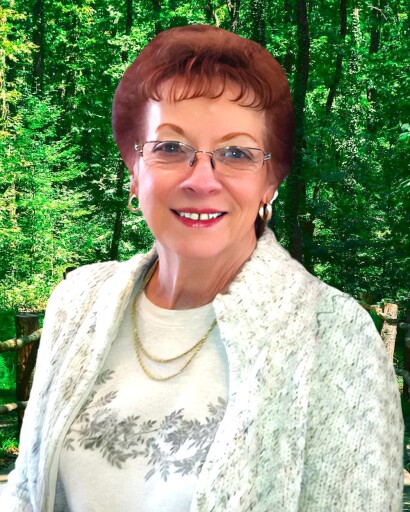 Judy Lloyd Profile Photo